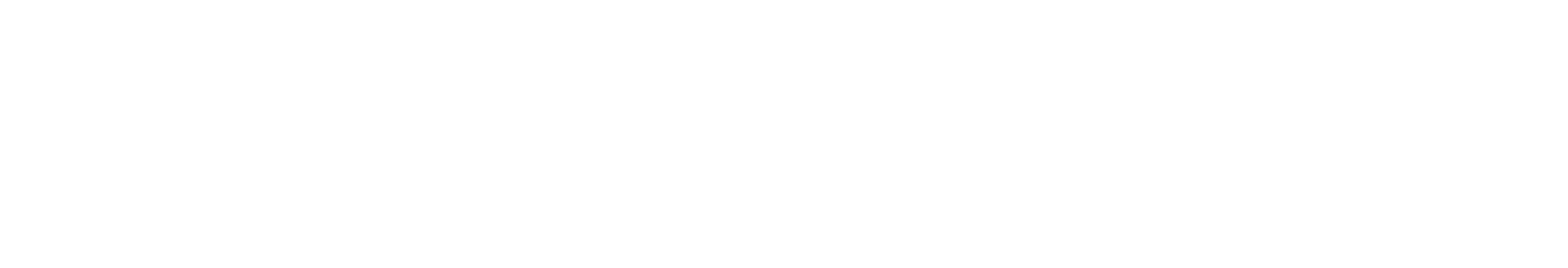 The Logo of Mass 4 Seasons Realty